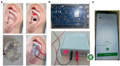 Immediate effects and duration of a short and single application of transcutaneous auricular vagus nerve stimulation on P300 event related potential